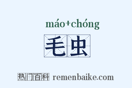 毛虫是什么意思的图片